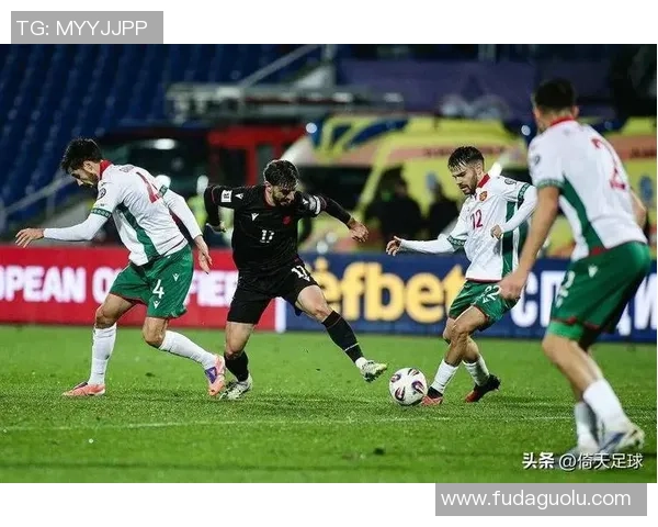 波黑对阵威尔士精彩直播全程回顾及赛后分析